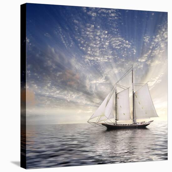 Sailboat Sun And Sky-rolffimages-Stretched Canvas