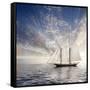 Sailboat Sun And Sky-rolffimages-Framed Stretched Canvas