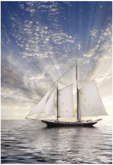 Poster, , large