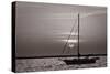 Sailboat Sunrise-Steve Gadomski-Stretched Canvas