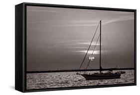 Sailboat Sunrise-Steve Gadomski-Framed Stretched Canvas