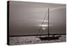 Sailboat Sunrise-Steve Gadomski-Stretched Canvas