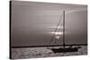 Sailboat Sunrise-Steve Gadomski-Stretched Canvas