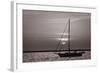 Sailboat Sunrise-Steve Gadomski-Framed Photographic Print