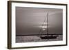 Sailboat Sunrise-Steve Gadomski-Framed Photographic Print