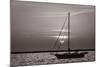 Sailboat Sunrise-Steve Gadomski-Mounted Photographic Print