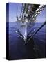 Sailboat, Ticonderoga Race-Michael Brown-Stretched Canvas