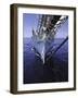 Sailboat, Ticonderoga Race-Michael Brown-Framed Photographic Print