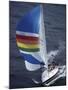 Sailboat with A Colorful Sail-null-Mounted Premium Photographic Print