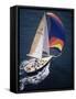 Sailboat with A Colorful Sail-null-Framed Stretched Canvas