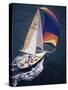 Sailboat with A Colorful Sail-null-Stretched Canvas