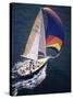 Sailboat with A Colorful Sail-null-Stretched Canvas