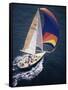 Sailboat with A Colorful Sail-null-Framed Stretched Canvas