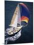 Sailboat with A Colorful Sail-null-Mounted Photographic Print