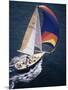 Sailboat with A Colorful Sail-null-Mounted Photographic Print