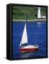 Sailboat-Chris Rogers-Framed Stretched Canvas