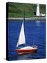 Sailboat-Chris Rogers-Stretched Canvas