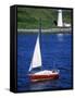 Sailboat-Chris Rogers-Framed Stretched Canvas