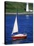 Sailboat-Chris Rogers-Stretched Canvas