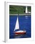 Sailboat-Chris Rogers-Framed Photographic Print