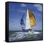 Sailboat-null-Framed Stretched Canvas