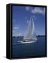 Sailboat-null-Framed Stretched Canvas