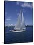 Sailboat-null-Stretched Canvas