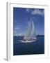 Sailboat-null-Framed Premium Photographic Print