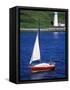 Sailboat-Chris Rogers-Framed Stretched Canvas