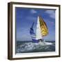 Sailboat-null-Framed Photographic Print