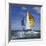 Sailboat-null-Framed Photographic Print