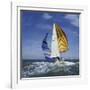 Sailboat-null-Framed Photographic Print