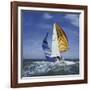 Sailboat-null-Framed Photographic Print