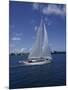 Sailboat-null-Mounted Photographic Print