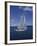 Sailboat-null-Framed Photographic Print