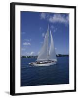 Sailboat-null-Framed Photographic Print