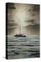 Sailboat-Joseph Cates-Stretched Canvas