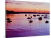 Sailboats Anchored in a Harbor-Cindy Kassab-Stretched Canvas