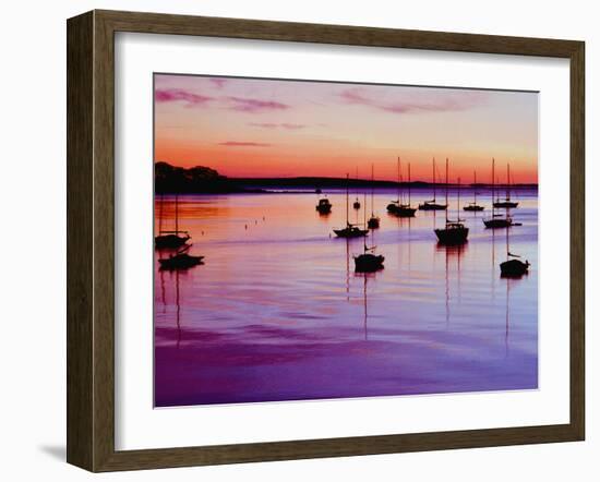 Sailboats Anchored in a Harbor-Cindy Kassab-Framed Premium Photographic Print