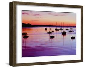 Sailboats Anchored in a Harbor-Cindy Kassab-Framed Premium Photographic Print