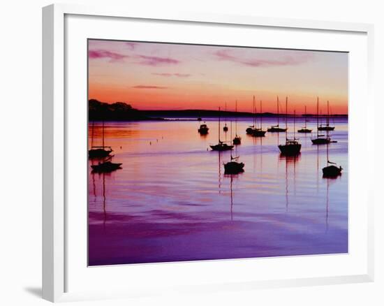 Sailboats Anchored in a Harbor-Cindy Kassab-Framed Photographic Print