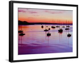 Sailboats Anchored in a Harbor-Cindy Kassab-Framed Photographic Print