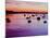 Sailboats Anchored in a Harbor-Cindy Kassab-Mounted Photographic Print