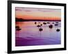 Sailboats Anchored in a Harbor-Cindy Kassab-Framed Photographic Print