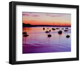 Sailboats Anchored in a Harbor-Cindy Kassab-Framed Photographic Print