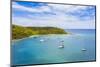 Sailboats and catamarans moored in a tropical bay by drone, Caribbean Sea, Antilles-Roberto Moiola-Mounted Photographic Print