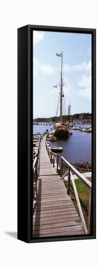 Sailboats at a Harbor, Camden, Knox County, Maine, USA-null-Framed Stretched Canvas