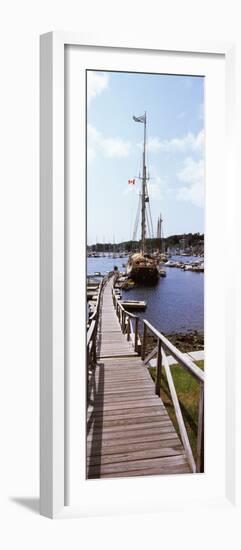 Sailboats at a Harbor, Camden, Knox County, Maine, USA-null-Framed Photographic Print