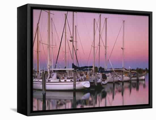 Sailboats at Dusk, Chesapeake Bay, Virginia, USA-Charles Gurche-Framed Stretched Canvas