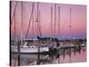 Sailboats at Dusk, Chesapeake Bay, Virginia, USA-Charles Gurche-Stretched Canvas